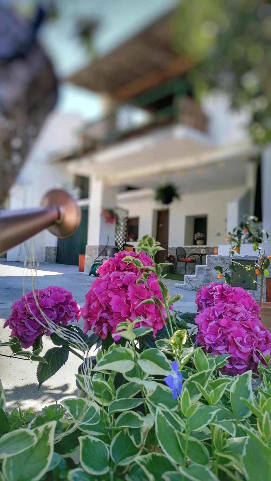 Ferienwohnung La Casa De La Abuela Pinos Genil Exterior foto
