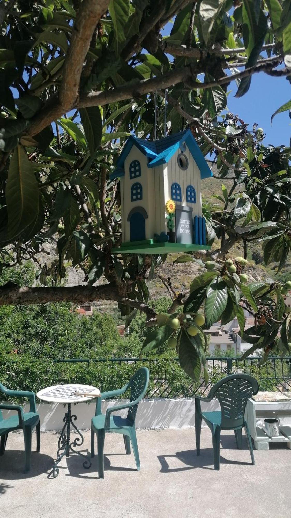 Ferienwohnung La Casa De La Abuela Pinos Genil Exterior foto