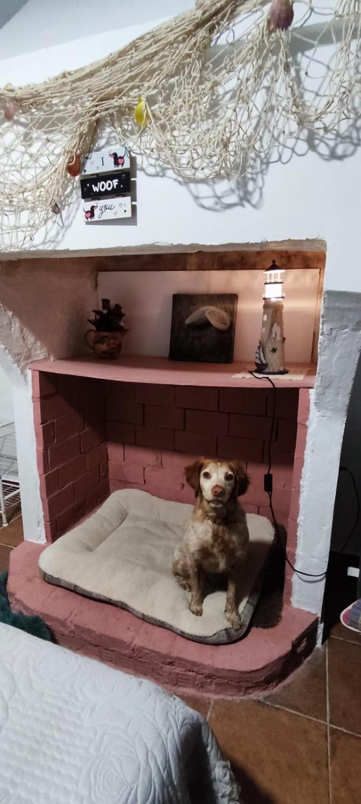Ferienwohnung La Casa De La Abuela Pinos Genil Exterior foto